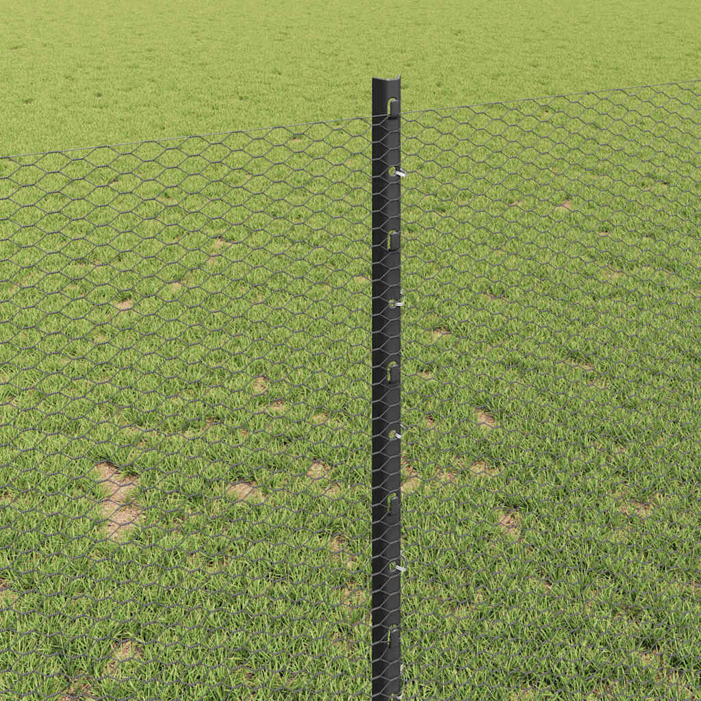 Zavarena žičana ograda 100 x 1 m (Š x V) Čelik premazan PVC-om