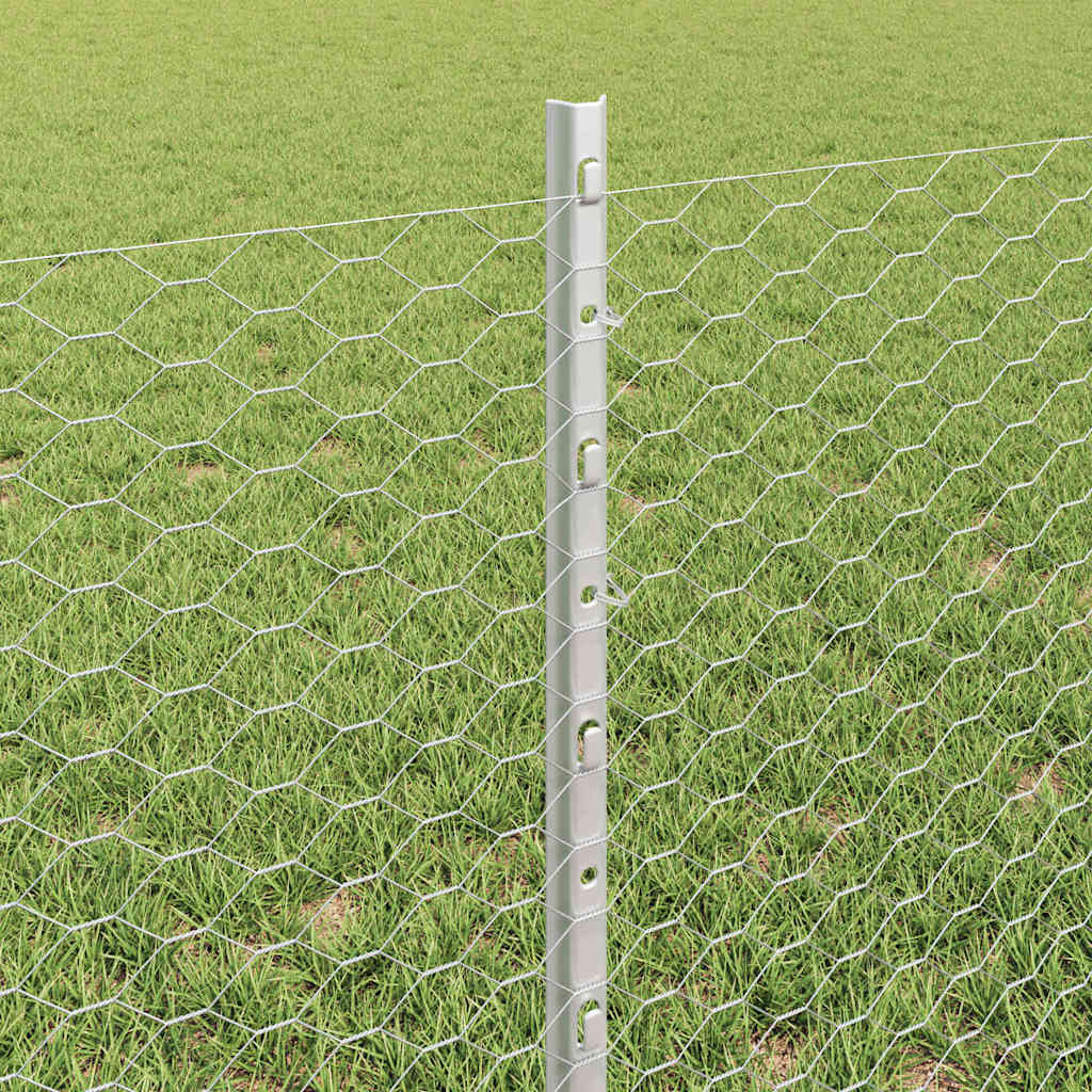 Zavarena žičana ograda 10 x 0,6 m (Š x V) Vruće pocinčani čelik