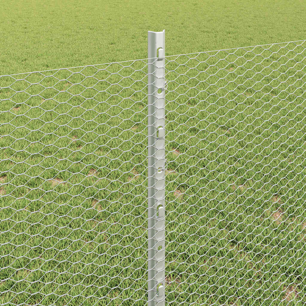Zavarena žičana ograda 10 x 0,8 m (Š x V) Vruće pocinčani čelik