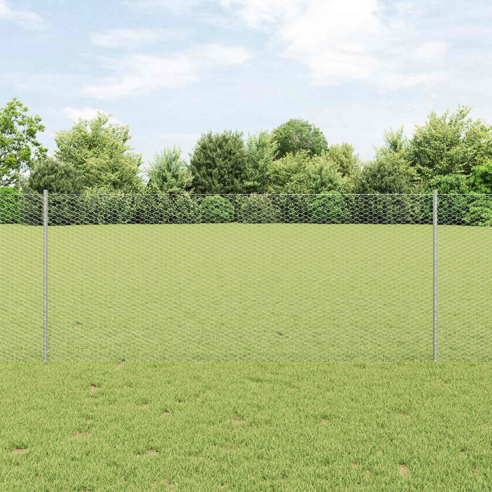 Zavarena žičana ograda 25 x 1 m (Š x V) Vruće pocinčani čelik