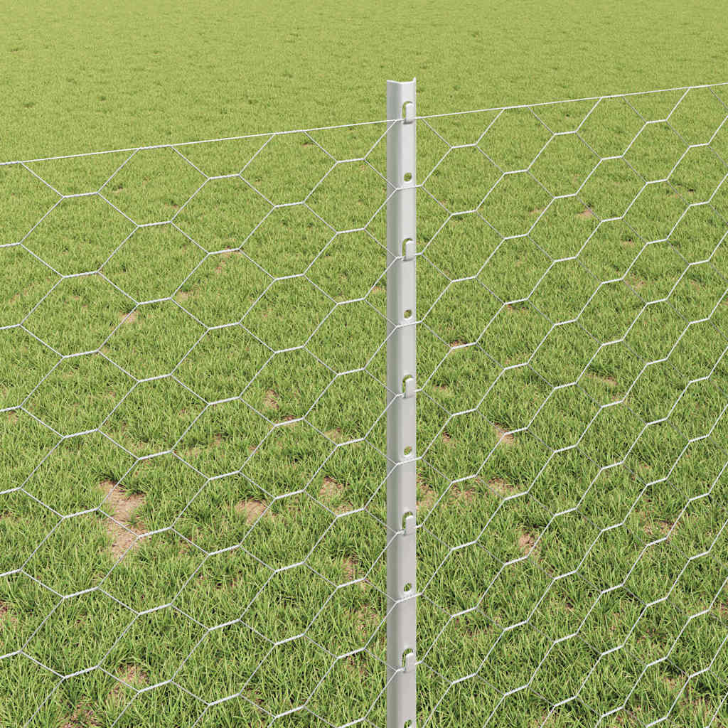 Zavarena žičana ograda 25 x 1 m (Š x V) Vruće pocinčani čelik