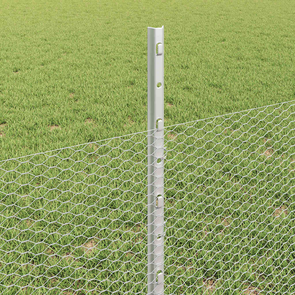 Zavarena žičana ograda 50 x 0,5 m (Š x V) Vruće pocinčani čelik