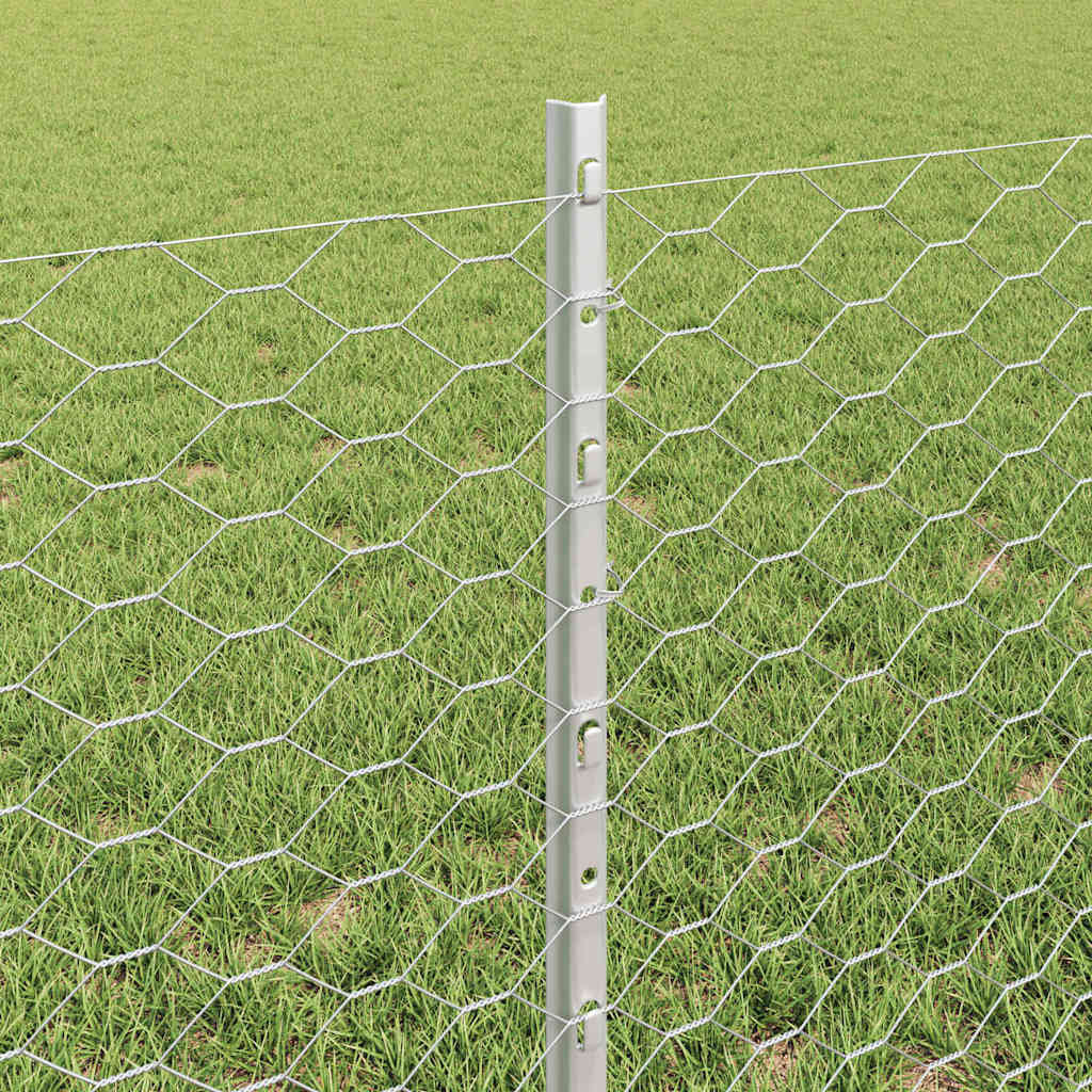Zavarena žičana ograda 50 x 0,6 m (Š x V) Vruće pocinčani čelik