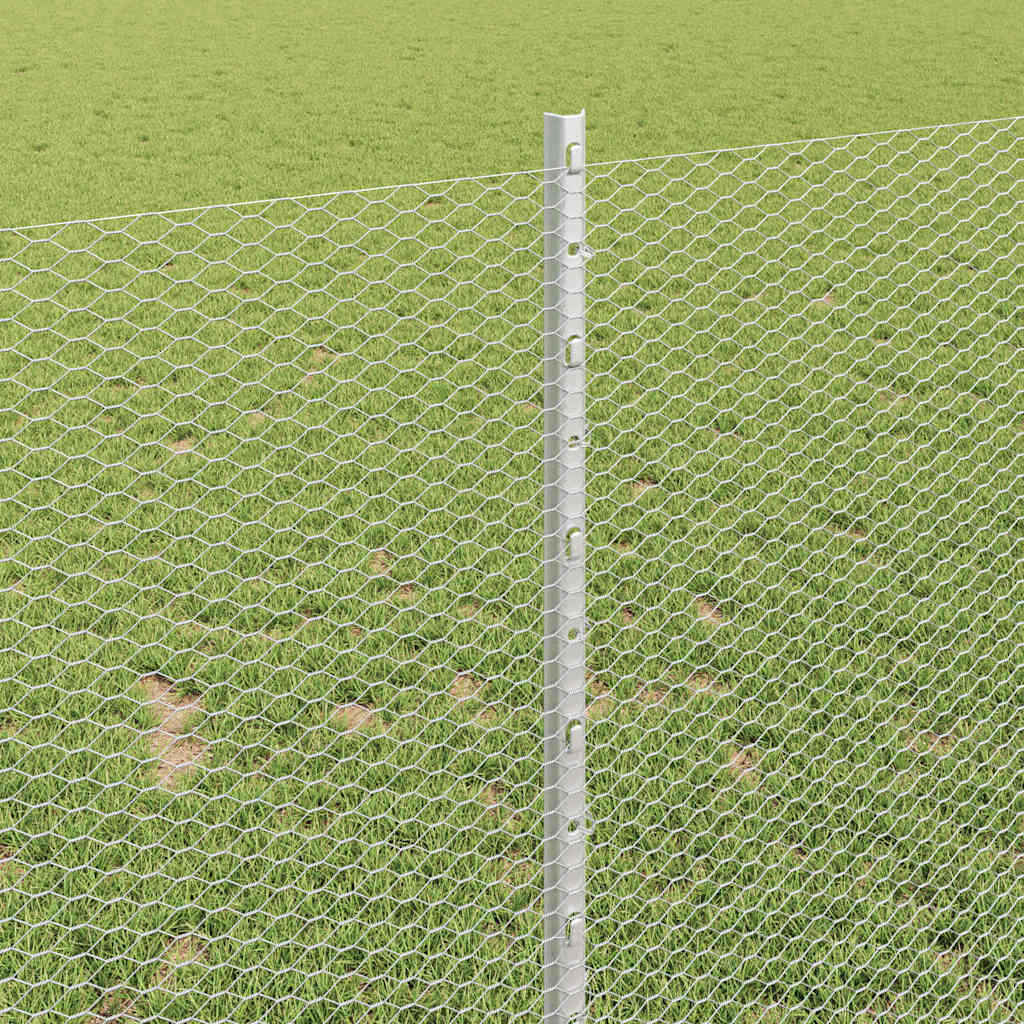 Zavarena žičana ograda 50 x 1 m (Š x V) Vruće pocinčani čelik