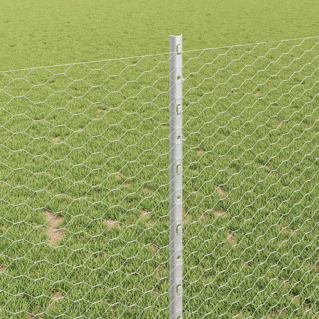 Zavarena žičana ograda 50 x 1 m (Š x V) Vruće pocinčani čelik