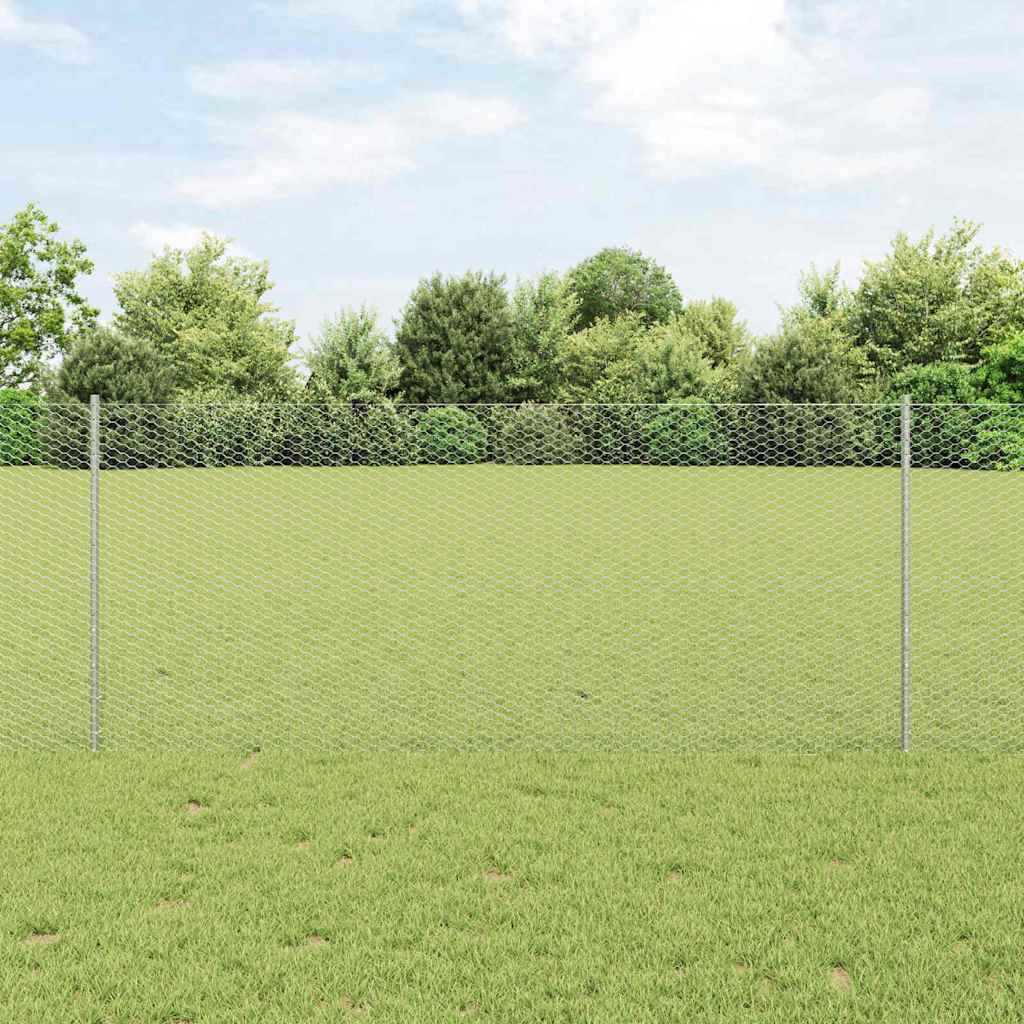 Zavarena žičana ograda 50 x 1 m (Š x V) Vruće pocinčani čelik
