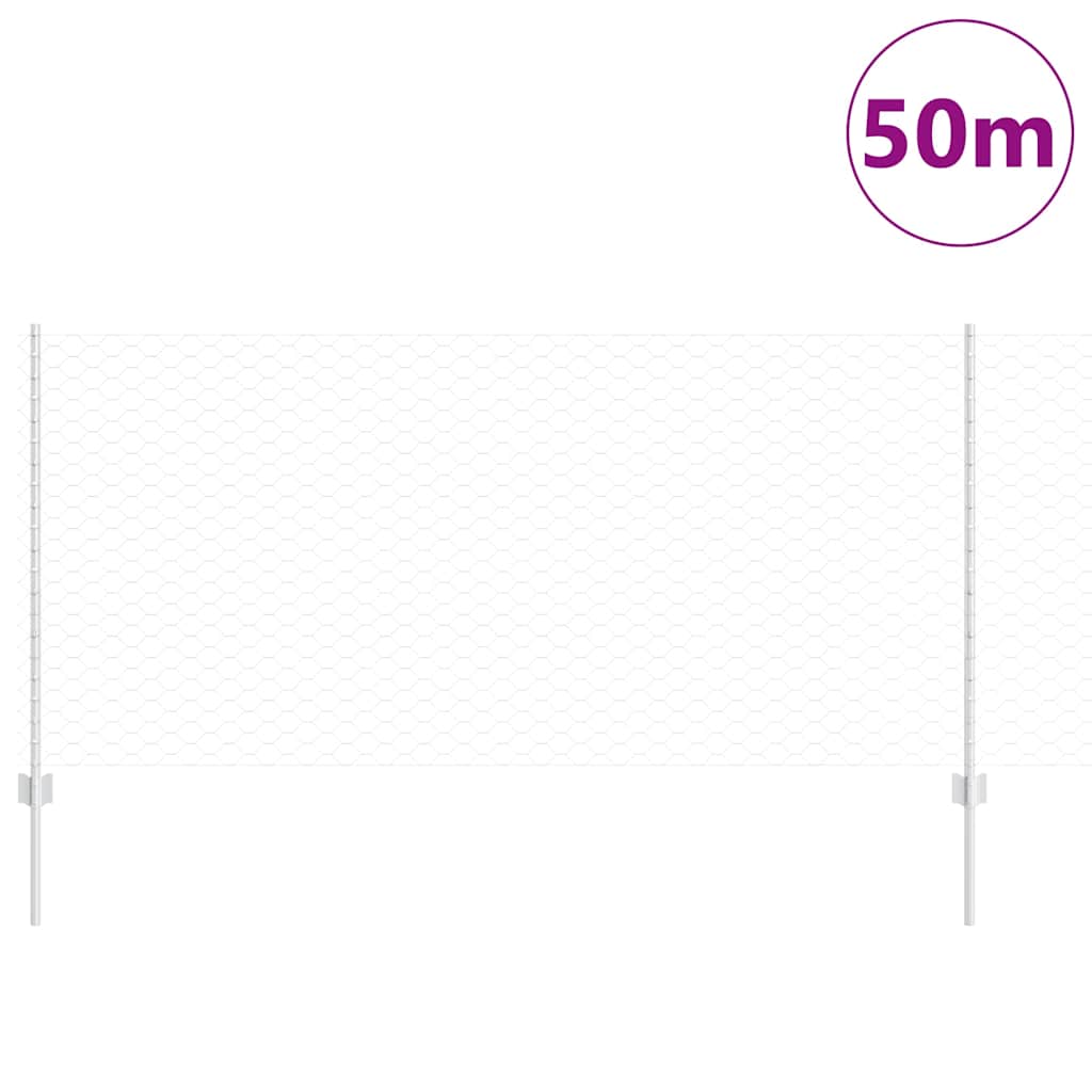 Zavarena žičana ograda 50 x 1 m (Š x V) Vruće pocinčani čelik