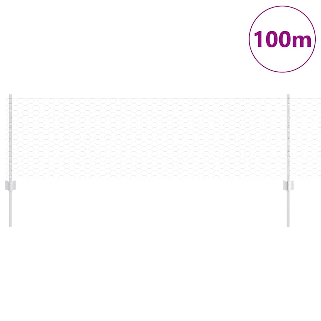 Zavarena žičana ograda 100 x 0,6 m (Š x V)