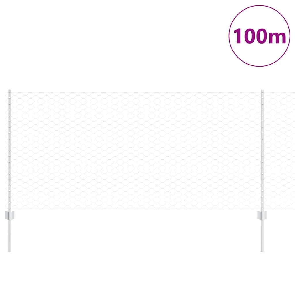 Zavarena žičana ograda 100 x 1 m (Š x V) Vruće pocinčani čelik