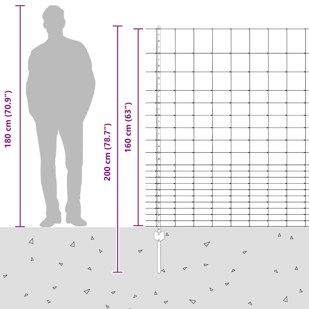 Divlja Ograde s Stupovima 25 x 1,6 m (Š x V)