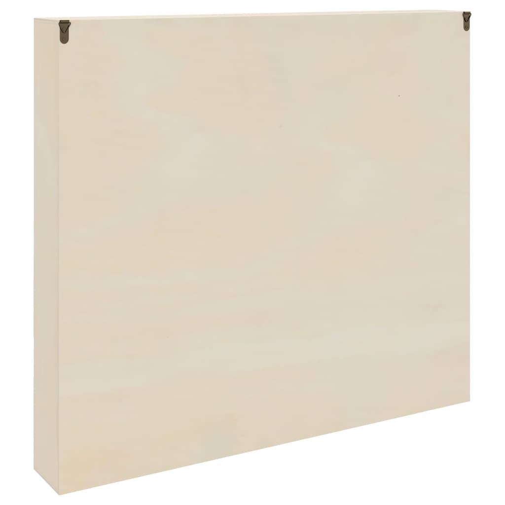 Ormar za izlaganje na zidu Zidne Bež 60 x 8,5 x 54 cm Šperploča