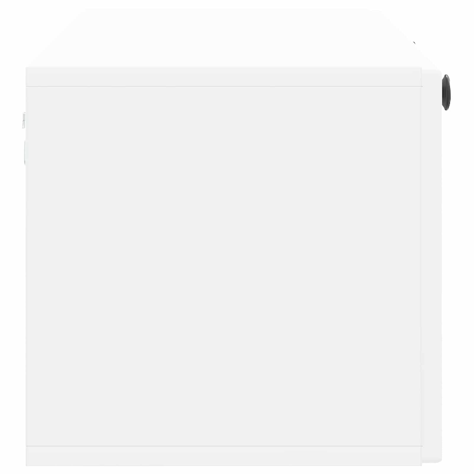 TV ormar za zid Zidne Bijela 98 x 31 x 30 cm Konstruirano drvo