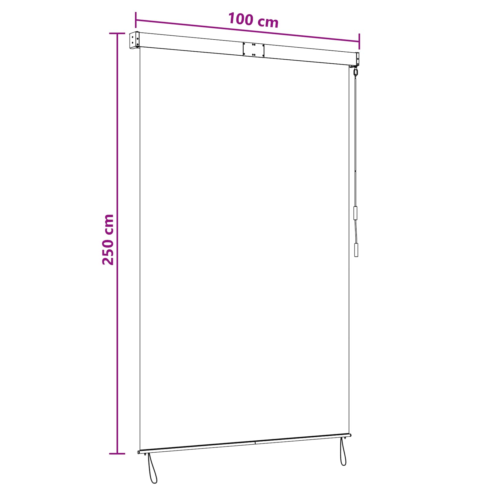 Rolo zavjesa Crna 100 x 250 cm Tkanina i aluminij