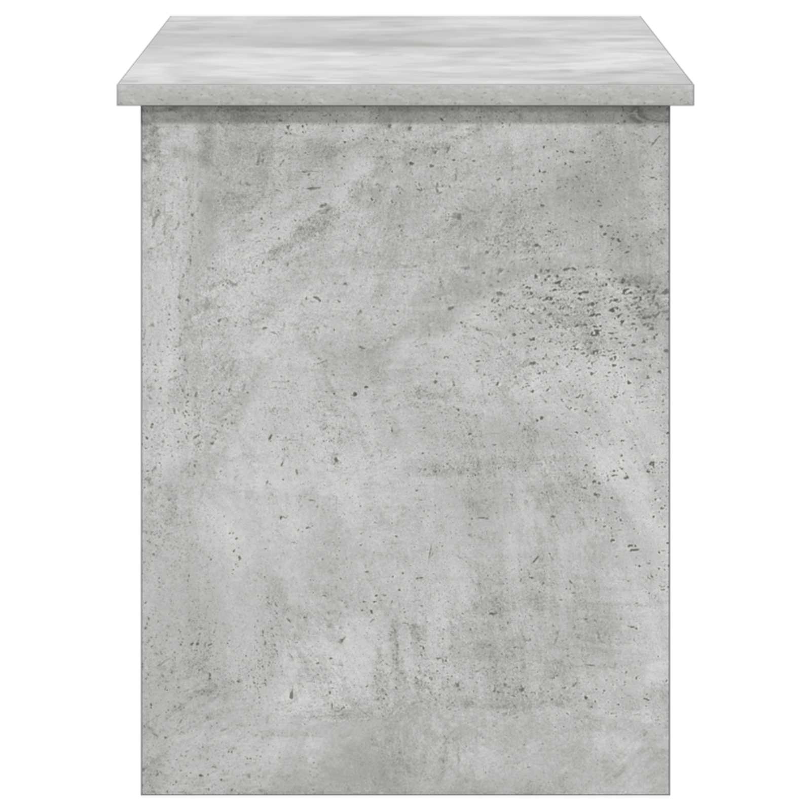 Skladišni kovčeg s pohranom Betonska siva 100 x 40 x 50 cm