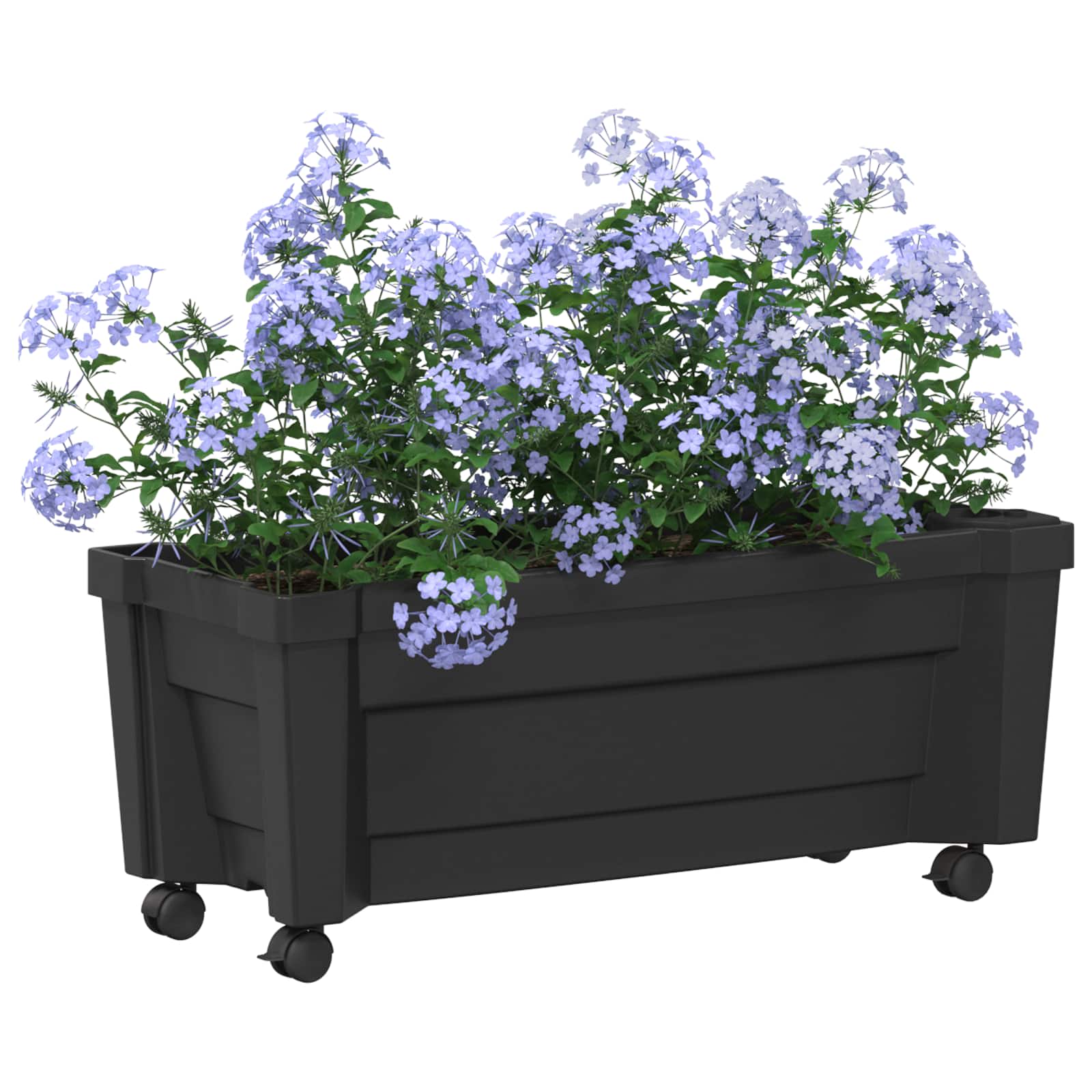 Calypso saksija s kotačima Antracit 79 x 35 x 33 cm PP