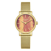 RUČNI SAT LEE COOPER LC08292.140