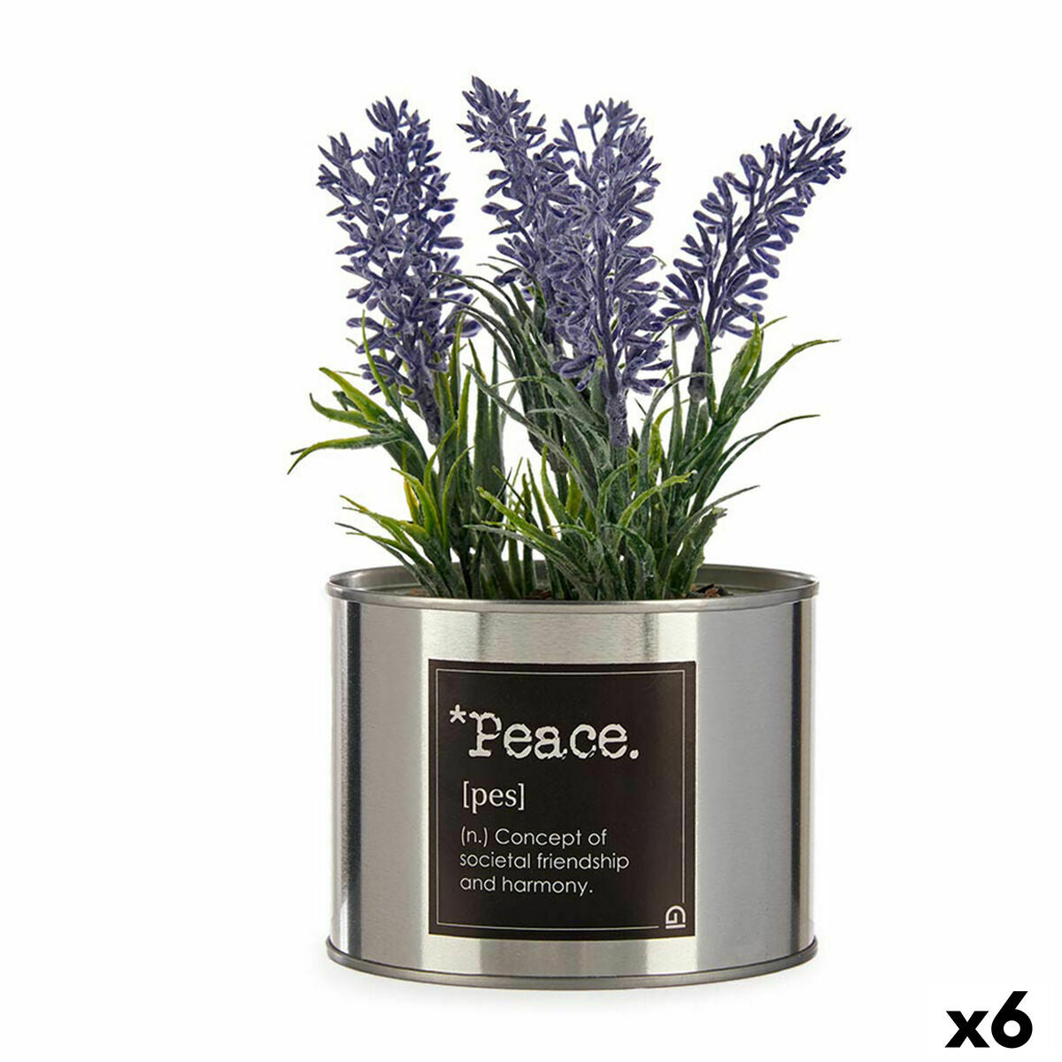 Ukrasna Biljka Ibergarden Metal Plastika Limenka Lavanda 10 x 18 x 10 cm (6 kom.)