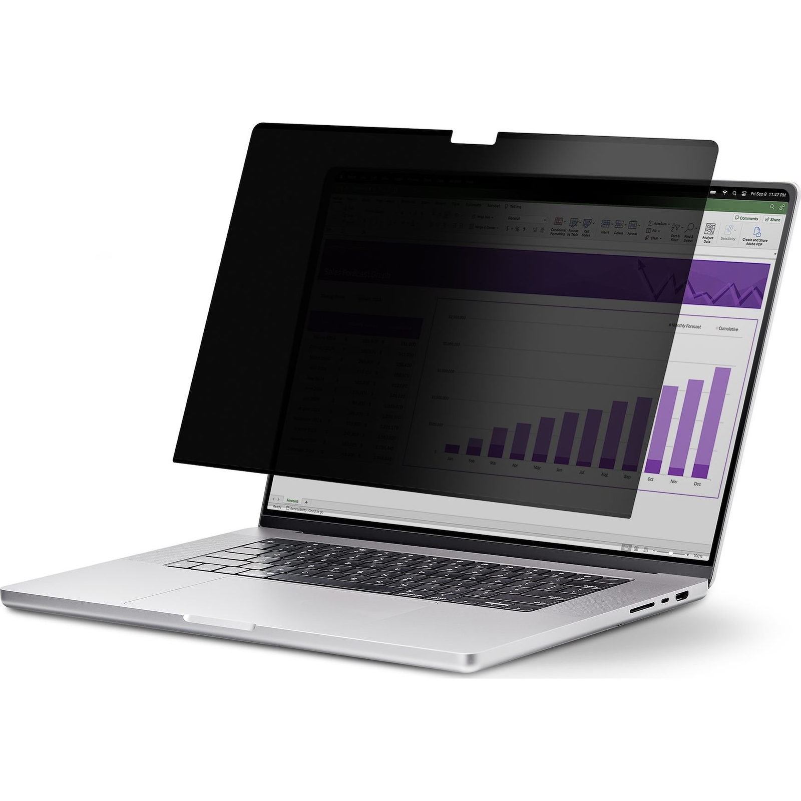 StarTech.com 17TF6-PRIVACY-SCREEN filtar za zaštitu privatnosti zaslona 43,2 cm (17") Prijenosno računalo Filtar za zaštitu privatnosti bez okvira