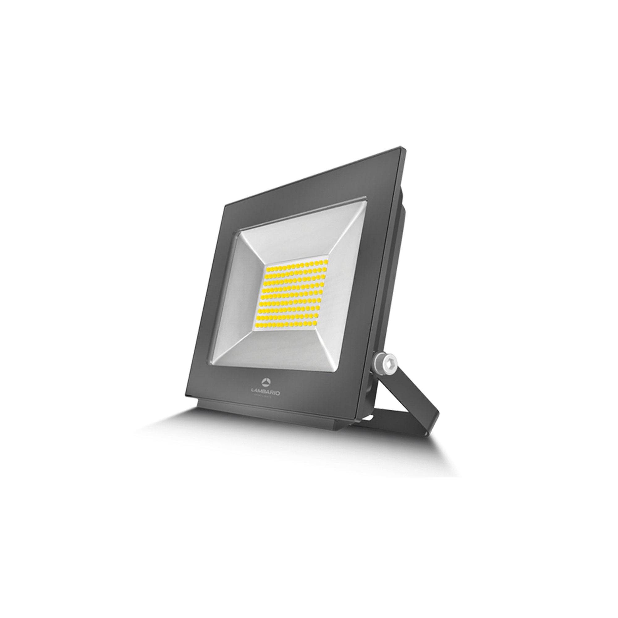 Reflektor LED SMD 100W 6400K IP65 Lambario