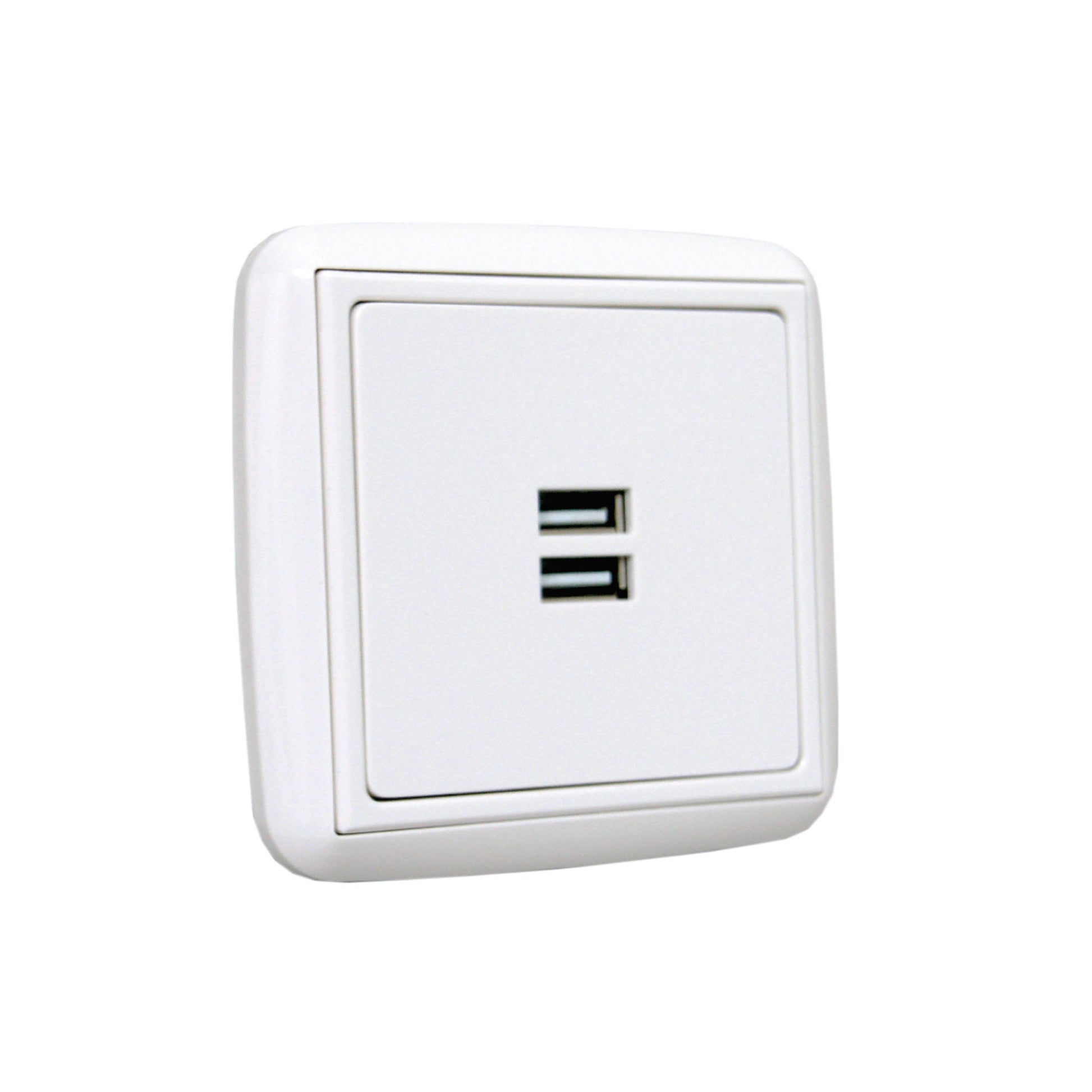 WLT 1007 Dual USB charger utičnica