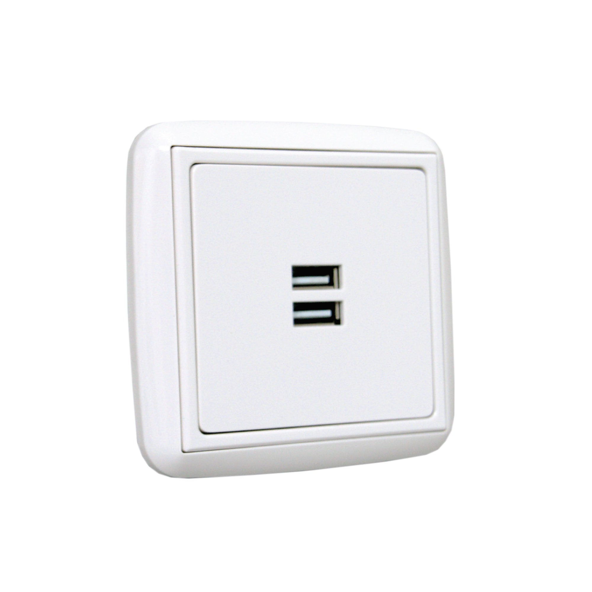 WLT 1007 Dual USB charger utičnica